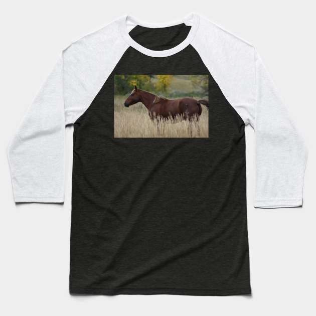 Brown Wild Horse Baseball T-Shirt by MarieDarcy